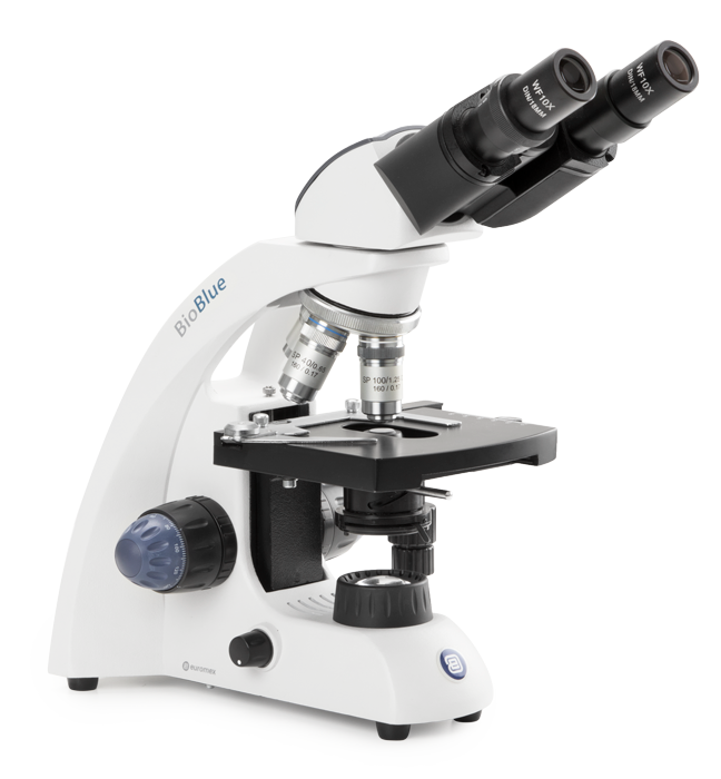 Kính hiển vi 2 mắt EUROMEX BB.4260 Kính hiển vi 2 mắt EUROMEX BB.4260